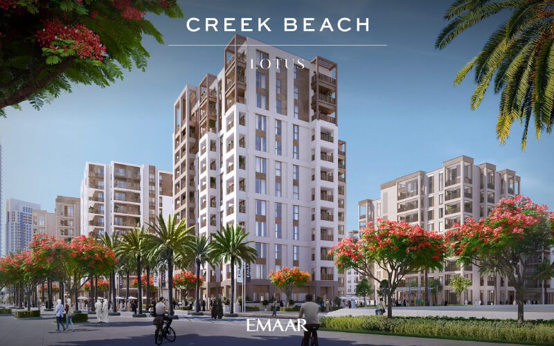 Creek Beach Lotus